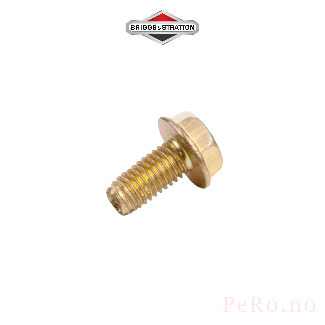 B&S Skrue (699234)