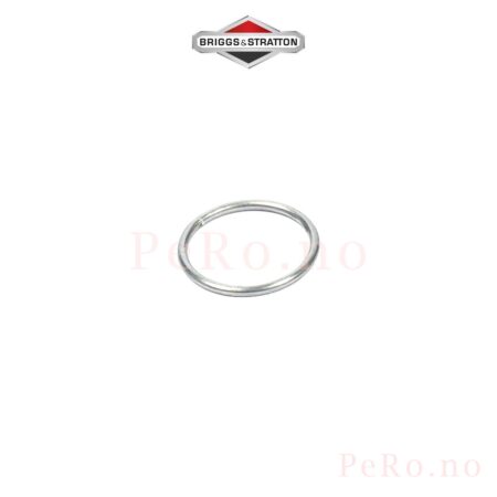 Retainer Spring 691855