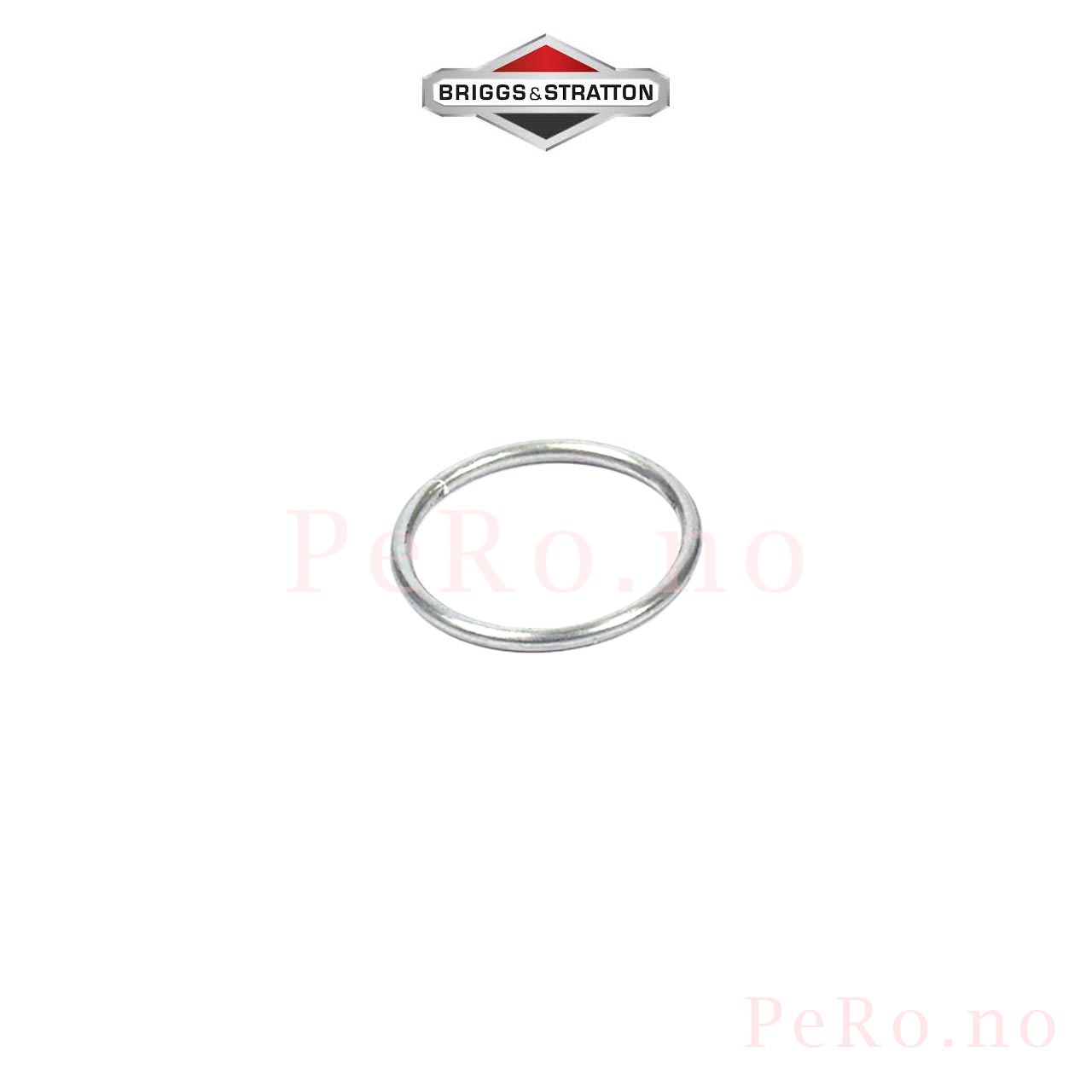 Retainer Spring 691855